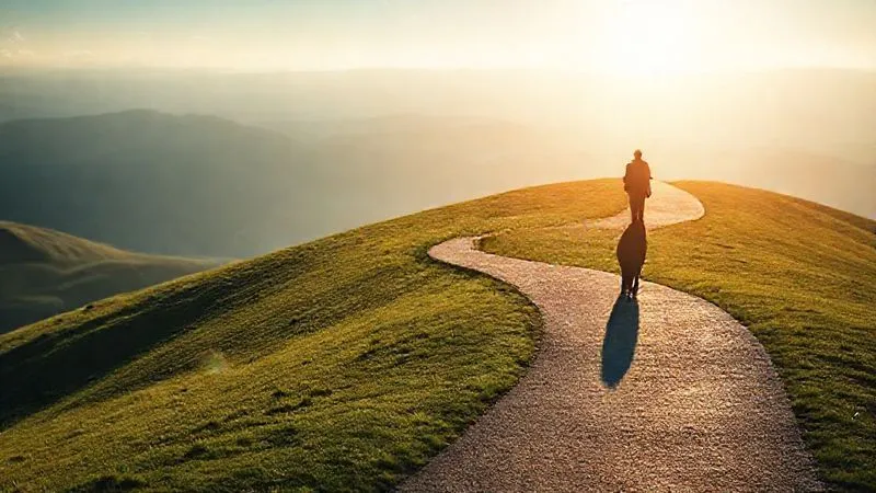 A photorealistic image of a winding path leading up a gentle hill towards a bright, distant horizon, symbolizing a journey of growth and personal branding, with a single, confident figure walking towards it. Cinematic lighting, sharp focus on the path, depth of field blurring the background. Shot on a high-end DSLR, 8K hyper-detailed.